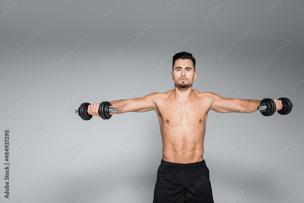 bearded and muscular sportsman exercising with dumbbells on grey.