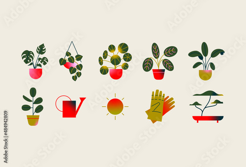 Conjunto de vectores de plantas en maceta y jardinería. Plantas en maceta decorativas y colgantes estilo en cestas.
