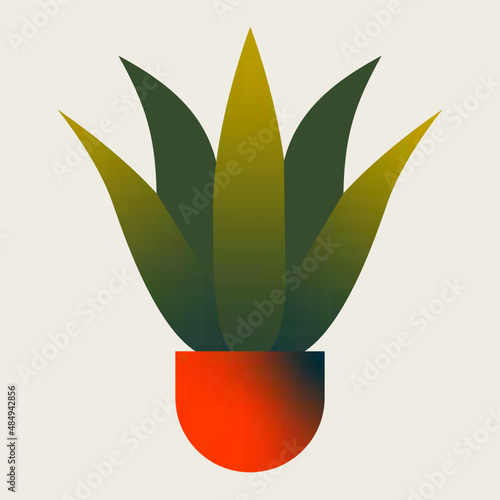 Aloe vera con hojas. Planta moderna aislada en vector de interior