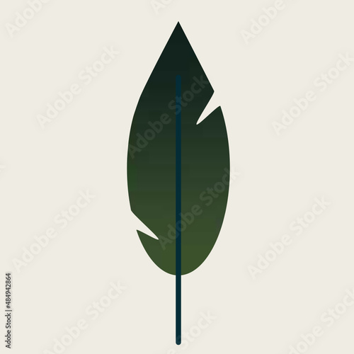 Platanero u oreja de elefante con hojas. Planta tropical aislada en vector de interior