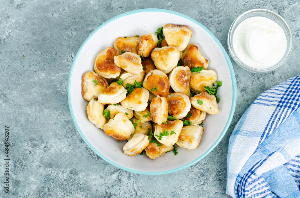 Blue bowl with fried dumplings. Studio Photo Blue bowl with fried dumplings. Studio Photo