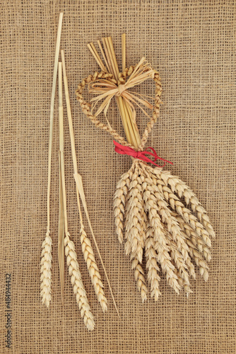 Corn dolly with wheat sheaths. Ancient pagan druid fertility symbol and used in harvest ritual customs in Europe. On hessian background, top view.