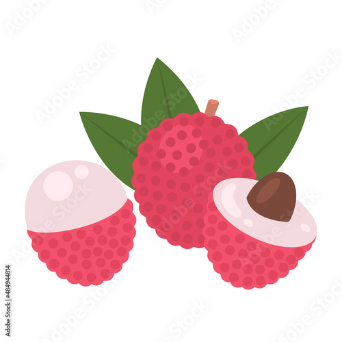 lychee whole fruit, half sliced and peeled isolated on white background. Litchi chinensis cartoon icon for package design. Vector illustration of tropical fruits in flat style.