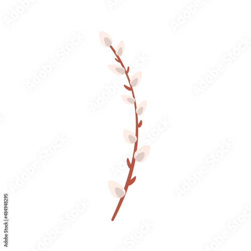 willow branch