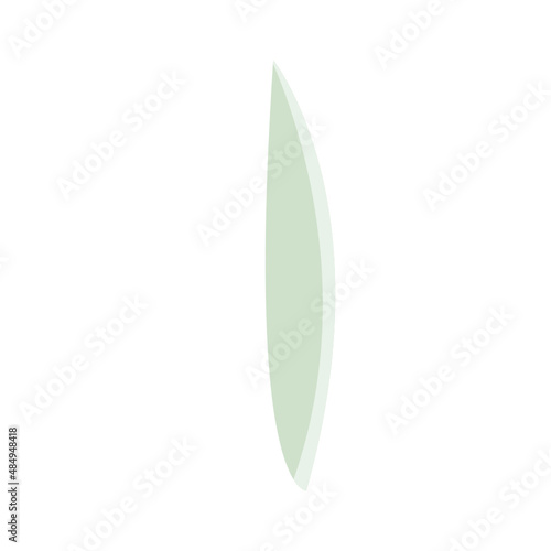 green leaf isolated on white