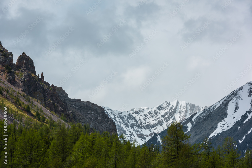 Scenic landscape with sunlit coniferous forest among high sharp rocks against snowy mountain range in sunlight under cloudy sky. Colorful view to forest valley and snow mountains at changeable weather