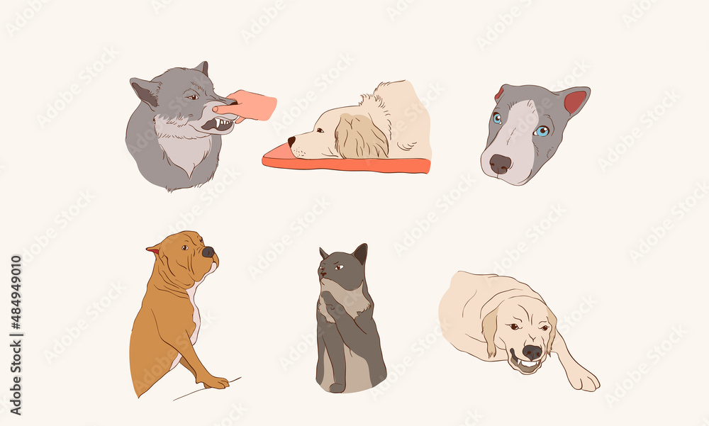 Set of funny animal characters. Isolated Cute animal print. Drawn fun poses. Hand-drawn funny wild and domestic animals. Vector illustration