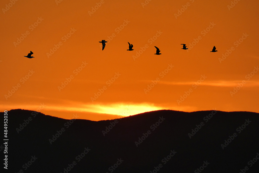Obraz premium Tramonto
