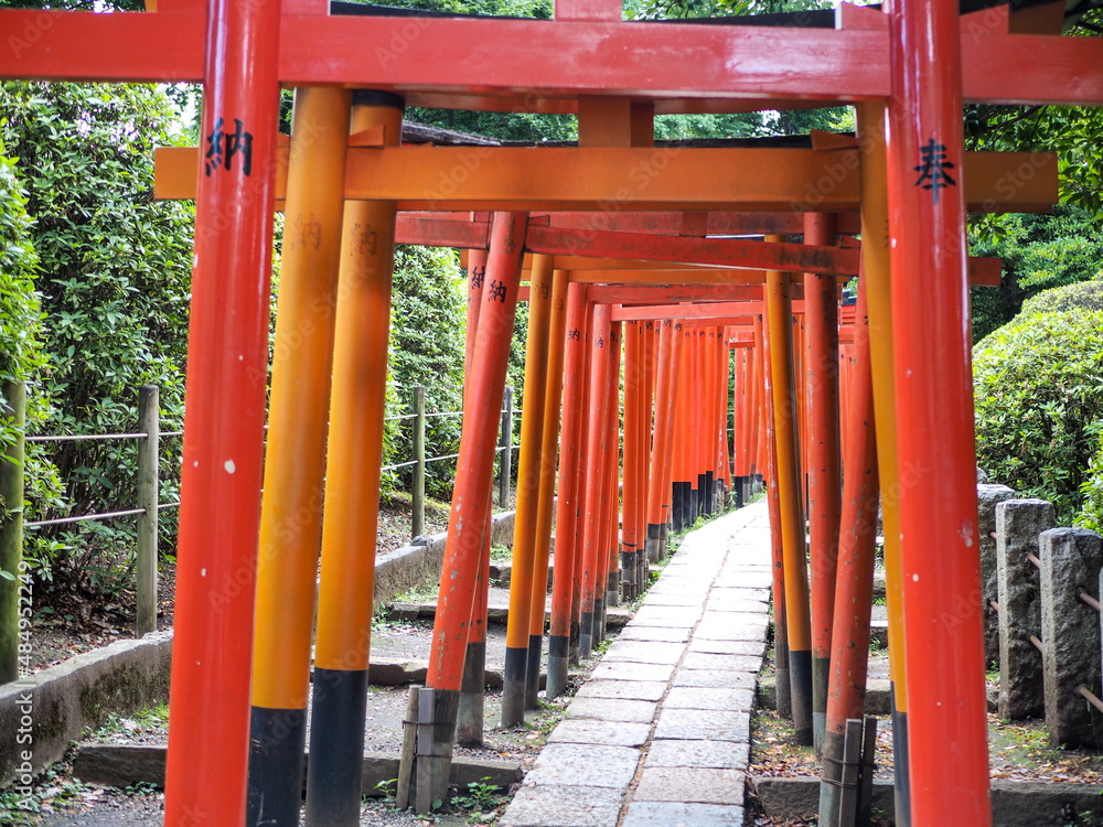 Torii Gates at Meijji Jingu Shrine, Tokyo - very similar to ones in Kyoto