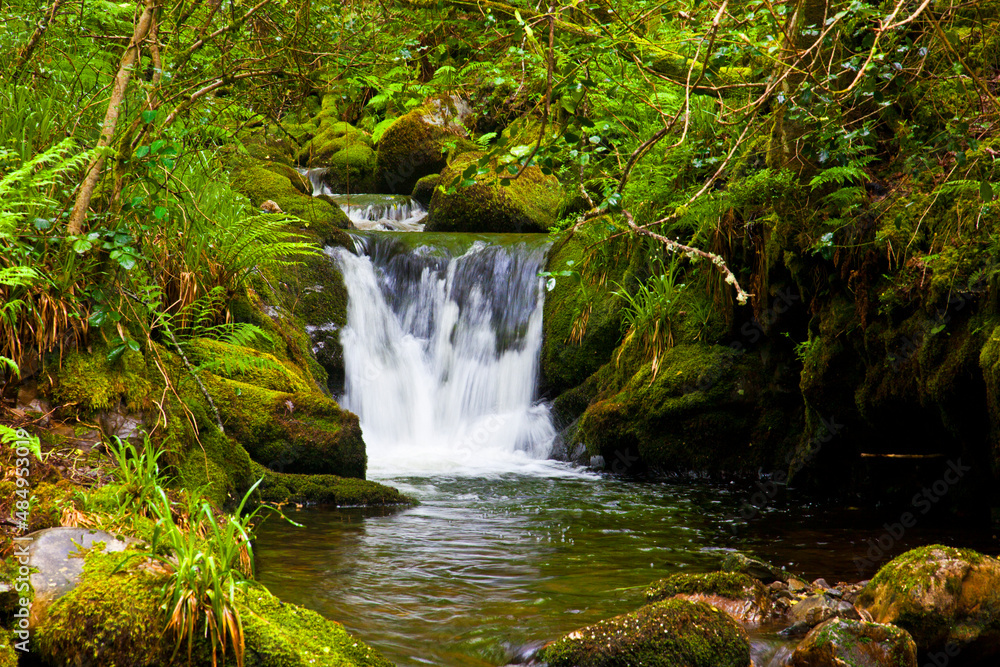Beautiful waterfall in the Muniellos National Park in Asturias Beautiful waterfall in the Muniellos National Park in Asturias