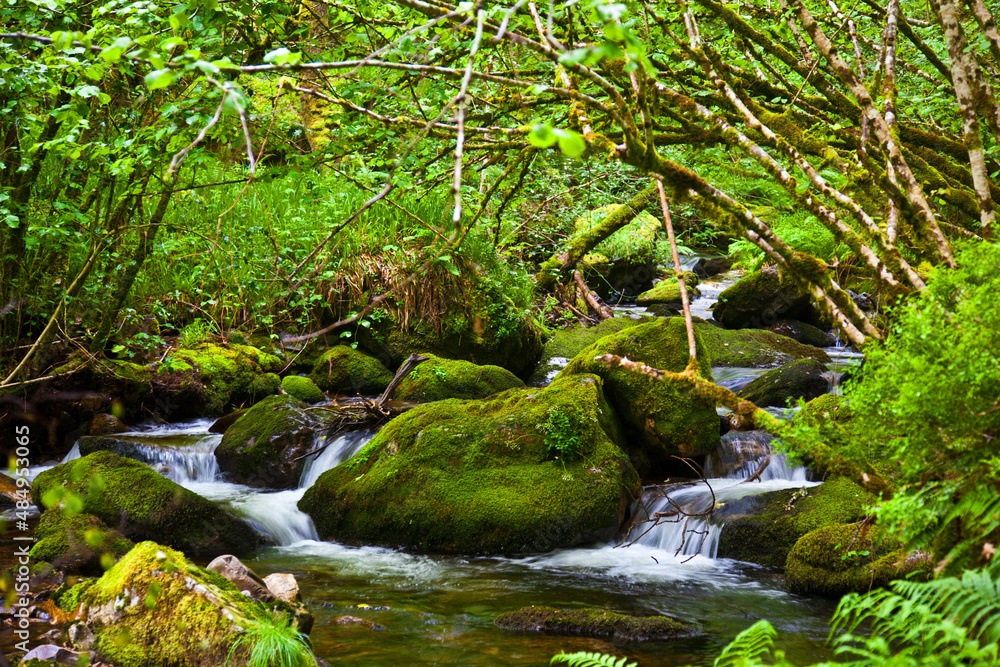 Beautiful waterfall in the Muniellos National Park in Asturias Beautiful waterfall in the Muniellos National Park in Asturias