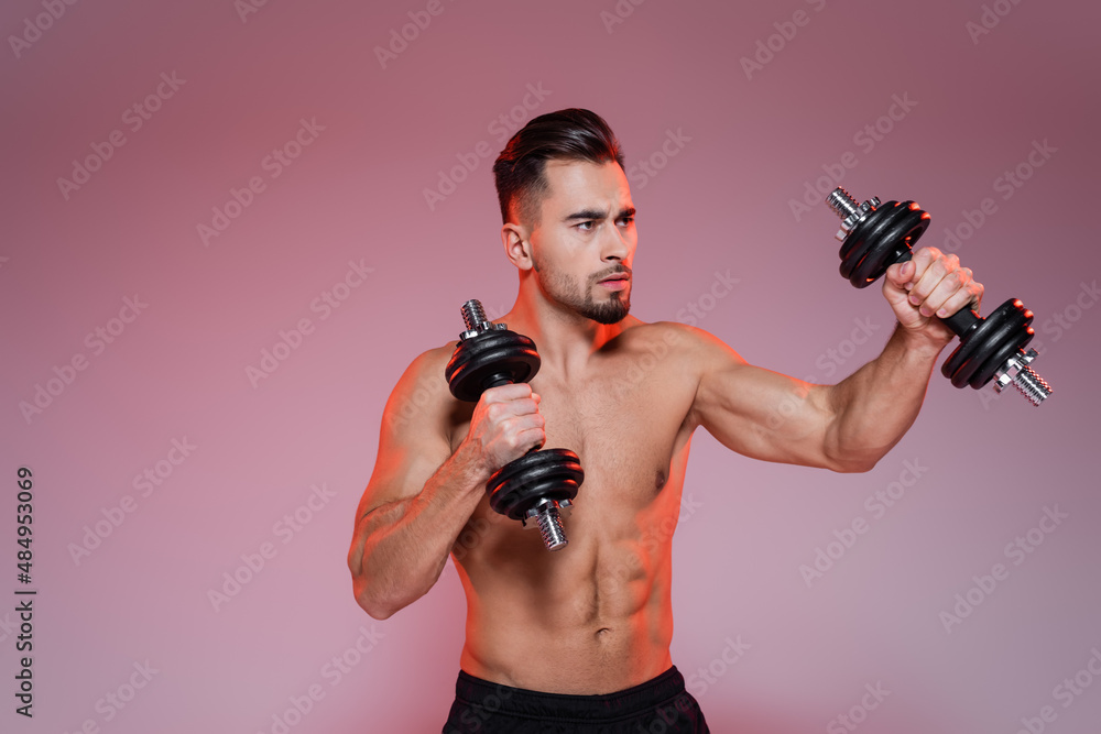 strong sportsman boxing with dumbbells on pink and grey.