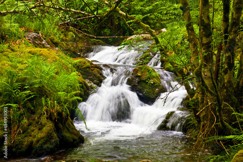 Fototapeta Naklejka Na Ścianę i Meble -  Beautiful waterfall in the Muniellos National Park in Asturias
