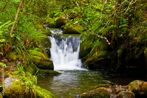 Fototapeta Naklejka Na Ścianę i Meble -  Beautiful waterfall in the Muniellos National Park in Asturias