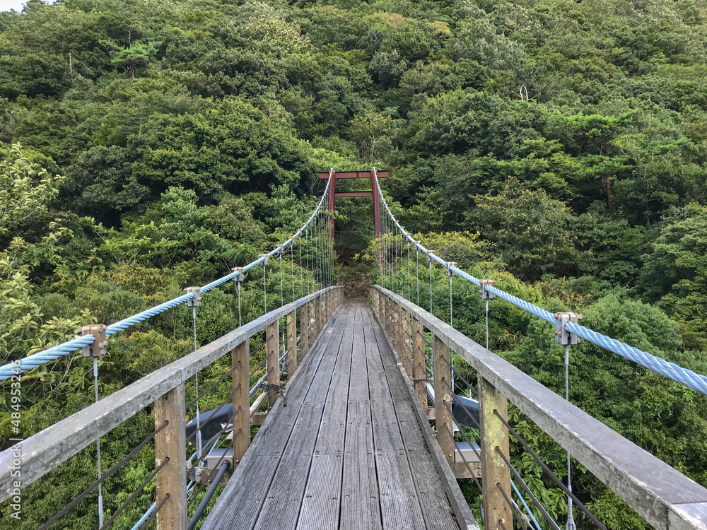 The wooden bridge - suspended 