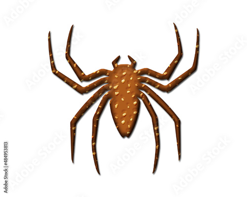 Spider Arachnid symbol Cookies chocolate icon logo illustration