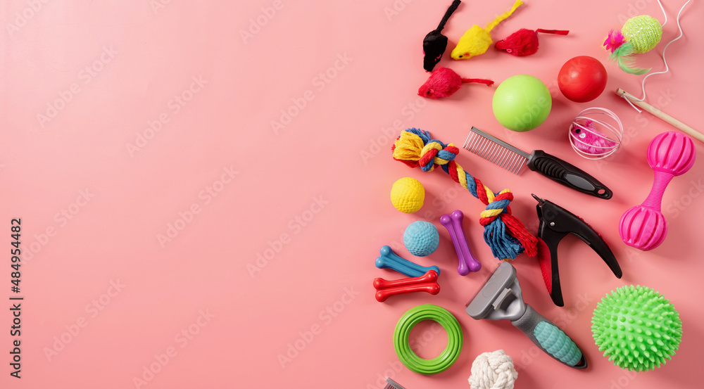 Pet care concept, various pet accessories on pink background with copy space, flat lay