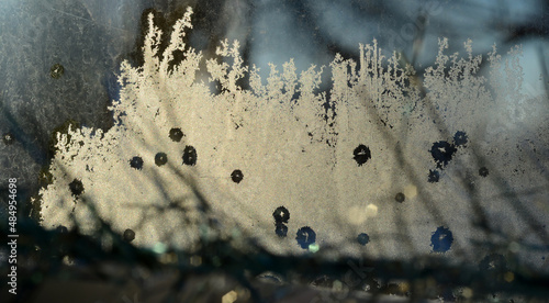 Natural frost floral pattern with abstract lines, stems, and snowflakes.