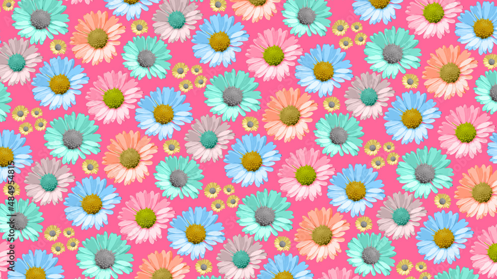 Pink daisy flower pattern, multi color flowers, bright background.