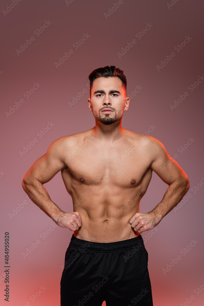 lighting on strong man with muscles posing with hands on hips on pink and grey. lighting on strong man with muscles posing with hands on hips on pink and grey.