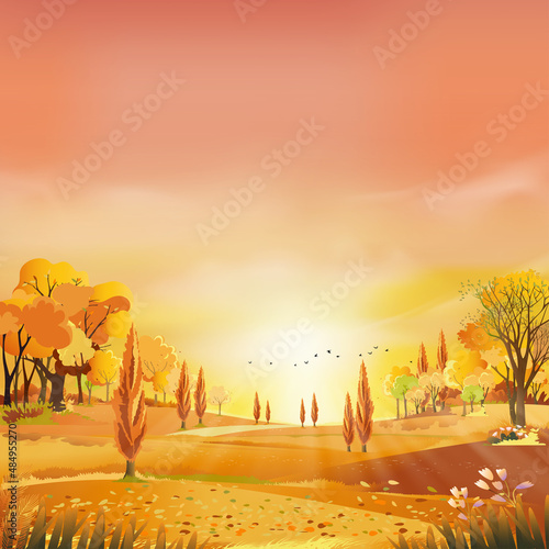 Autumn rural landscape in evening light with sunset, yellow,pink,orange sky background,Vector Cartoon fall season at countryside with forest tree and grass field with sunrise,Backdrop natural banner