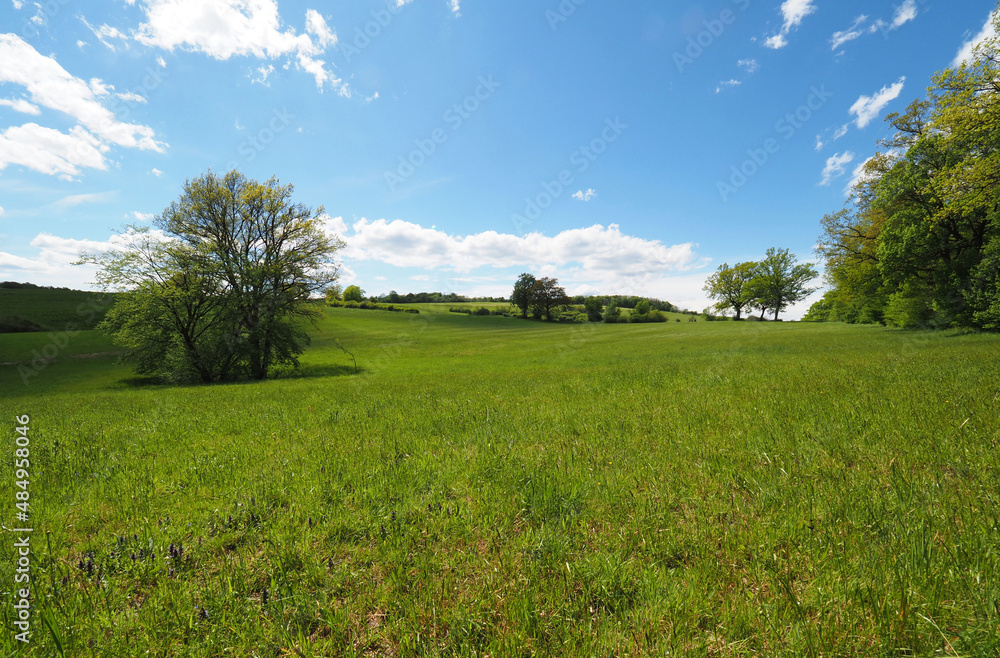 Niedersächsisches Hügelland, Ithwiesen im Sommer Niedersächsisches Hügelland, Ithwiesen im Sommer