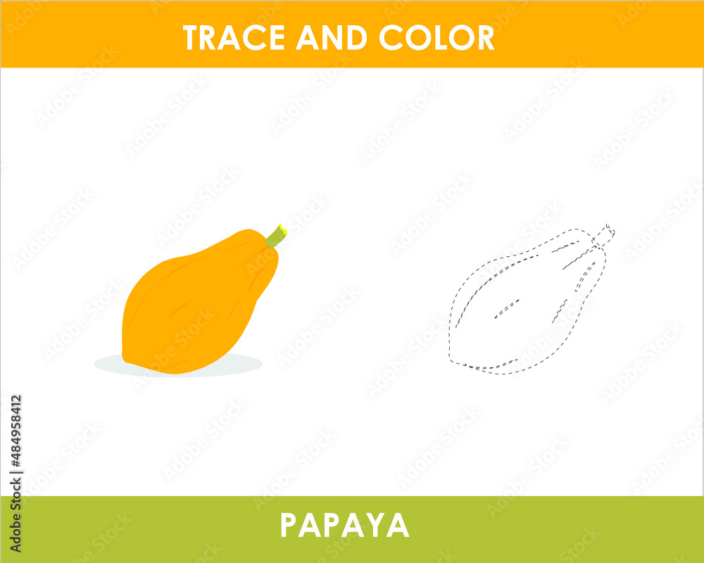 Trace the line color the picture Trace the line color the picture