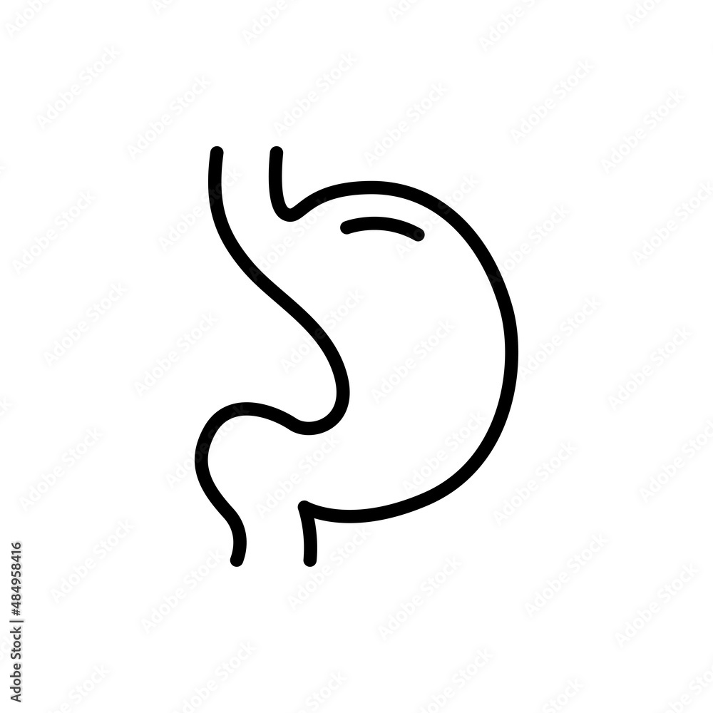 Human organ stomach line icon. Isolated vector element. Human organ stomach line icon. Isolated vector element.