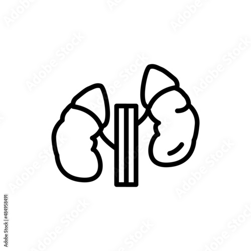 Human organ adrenal glands line icon. Isolated vector element.