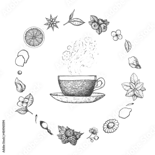 Herbal Tea vector illustration. Vector design with herbal tea ingredients. Hand drawn sketch collection. Engraved style.