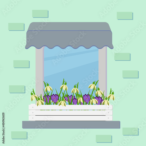 flower, crocuses, snowdrop, window, flowers, postcard , spring, vector, summer, window sill, green