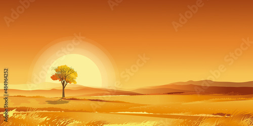 Sunset orange sky,Autumn rural landscape in farm fields with  grass land on mountain, VectorCartoon fall season in countryside on white background for text,Beautiful natural for thanksgiving banner