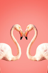 Fotobehang Koraal Flamingo's vormen hart op Valentijn  © Alfredo