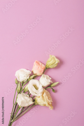 branch of eustoma flowers on pink background