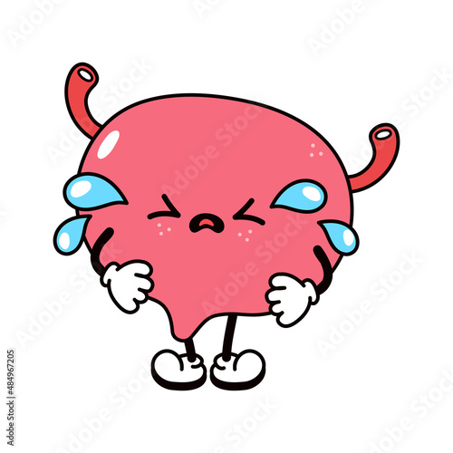 Cute funny crying sad bladder character. Vector hand drawn traditional cartoon vintage, retro, kawaii character illustration icon. Isolated on white background. Cry bladder character concept