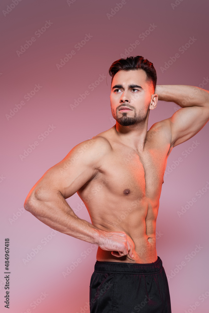 red lighting on shirtless sportsman posing while showing muscles on grey and pink. red lighting on shirtless sportsman posing while showing muscles on grey and pink.