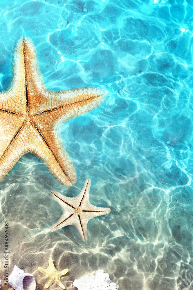 Starfish and seashell on the summer beach in sea water. Summer background. Starfish and seashell on the summer beach in sea water. Summer background.