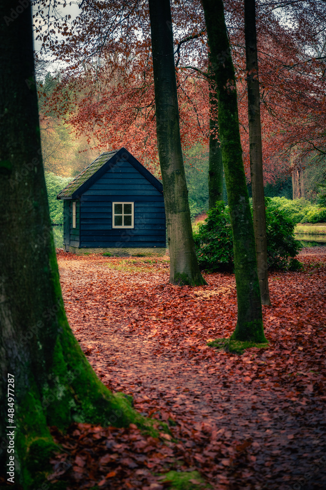 A wooden blue house in the middle of an autumn forest in Apeldoorn in palace park Het Loo A wooden blue house in the middle of an autumn forest in Apeldoorn in palace park Het Loo