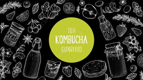 Kombucha tea and ingredients for kombucha sketch. Hand drawn vector illustration. Kombucha drink. Tea mushroom, tea fungus, or Manchurian mushroom.