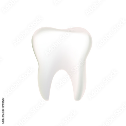 human tooth on a white background in vector