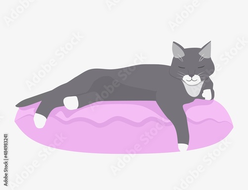 A sleeping cat on a pillow. Vector illustration in cartoon style.