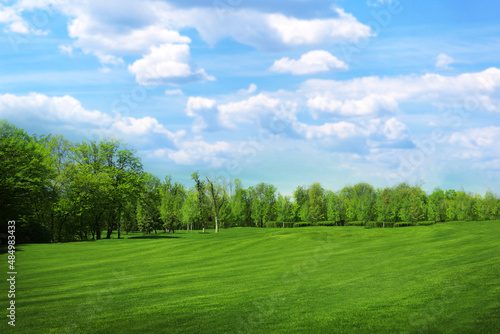 Beautiful view of park with green grass on sunny day