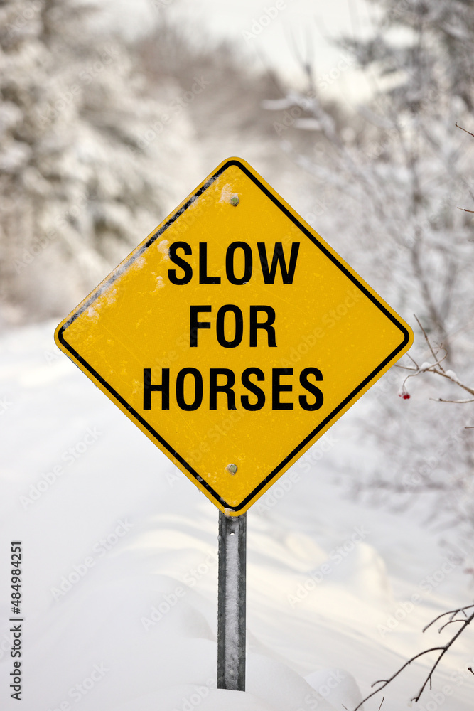A Yellow Warning Sign reading Slow for Horses A Yellow Warning Sign reading Slow for Horses