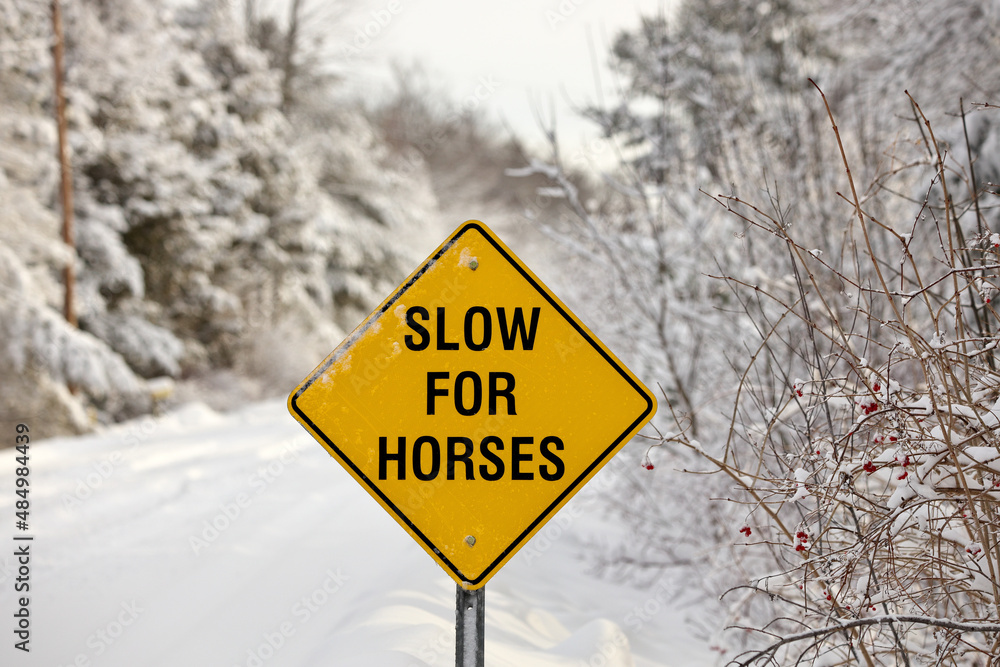 A Yellow Warning Sign reading Slow for Horses