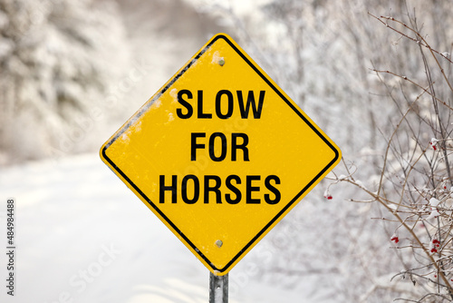 A Yellow Warning Sign reading Slow for Horses
