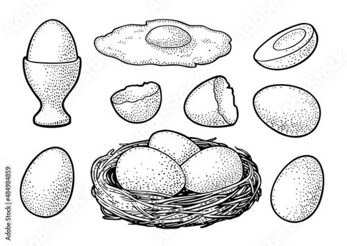 Fried and boiled chicken eggs with broken shell and nest. Vintage color engraving illustration