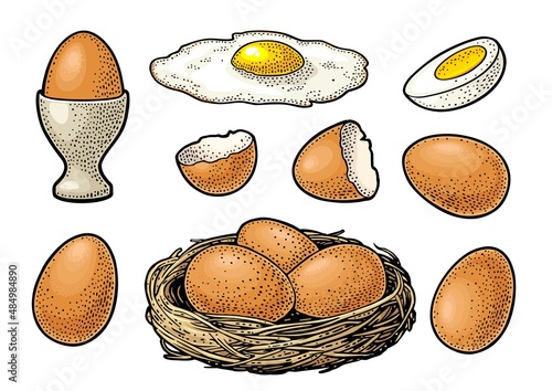 Fried and boiled chicken eggs with broken shell and nest. Vintage color engraving illustration