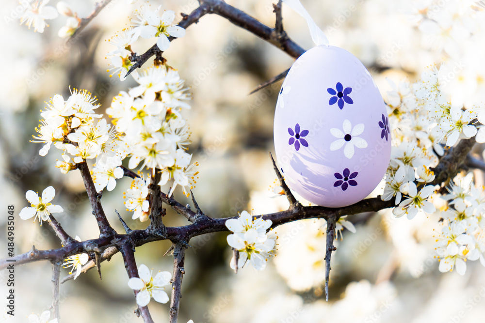 Scena con un uovo lillà posato sui rami fioriti di un albero in primavera a Pasqua. Feste di primavera. Vacanza. 