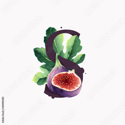 Letter S logo with fresh ripe purple fig fruit and slices with leaf.