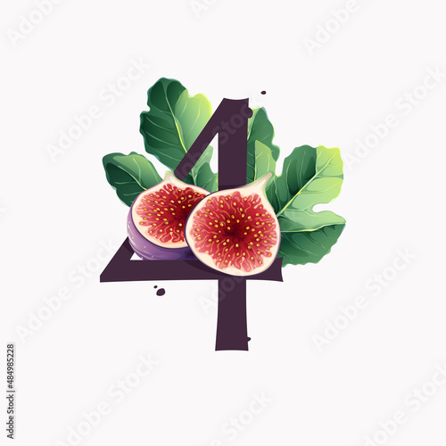 Number four logo with fresh ripe purple fig fruit and slices with leaf.